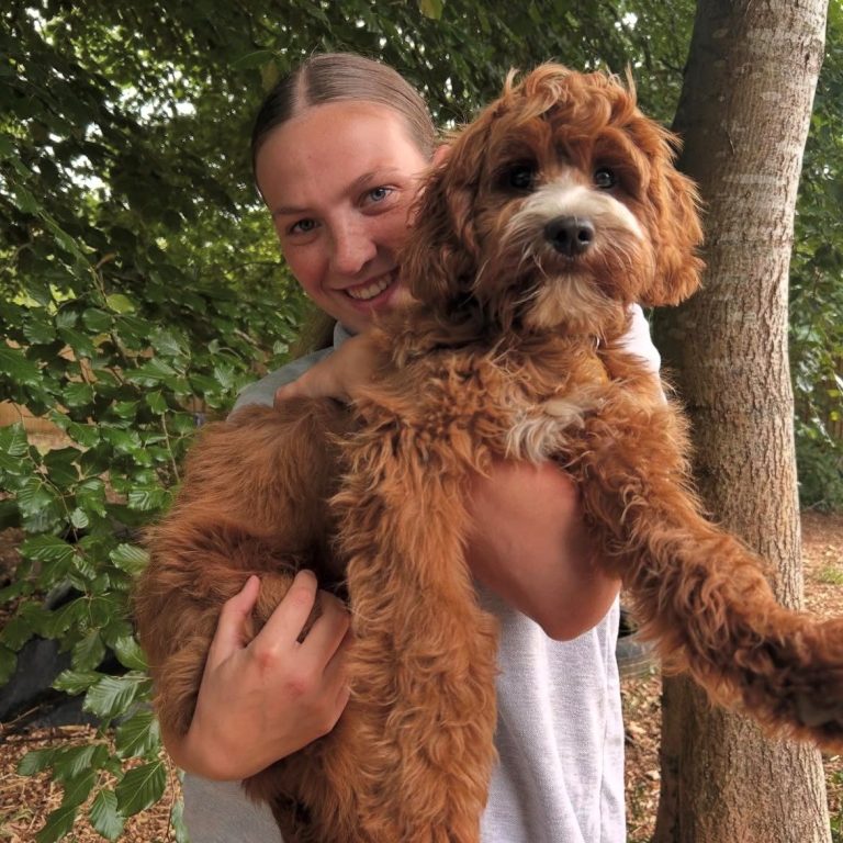 Lucy from Bark and Stroll: Dog Walking & Dog Sitting in and around Caversham Lucy, owner of Bark and Stroll: Dog Walking & Dog Sitting in and around Caversham